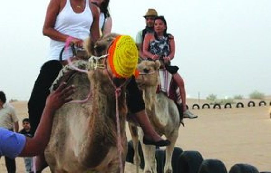 Morning Desert Safari