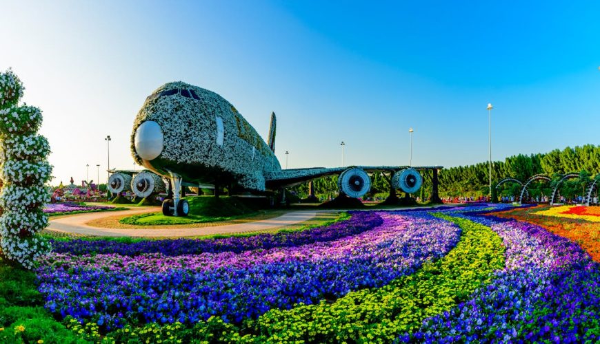 miracle garden dubai